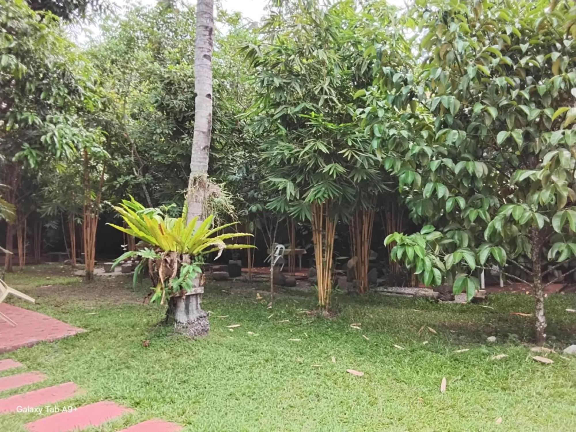Camiguin Lanzones Resort Mambajao Exterior foto